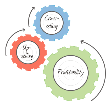 CRM Upsell Strategy